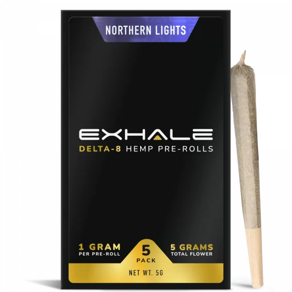 NORTHERN LIGHTS